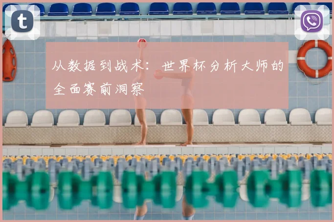 从数据到战术:世界杯分析大师的全面赛前洞察