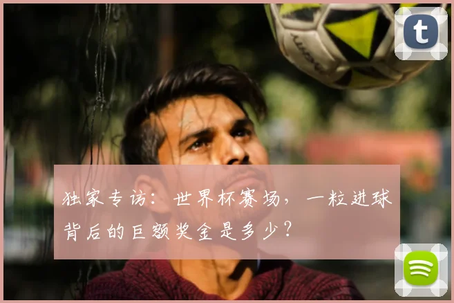 独家专访：世界杯赛场，一粒进球背后的巨额奖金是多少？