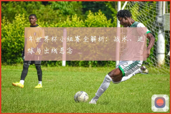 年世界杯小组赛全解析：战术、进球与出线悬念