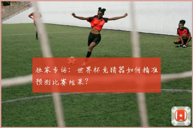 独家专访：世界杯竞猜器如何精准预测比赛结果？