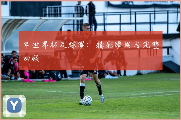 年世界杯足球赛：精彩瞬间与完整回顾