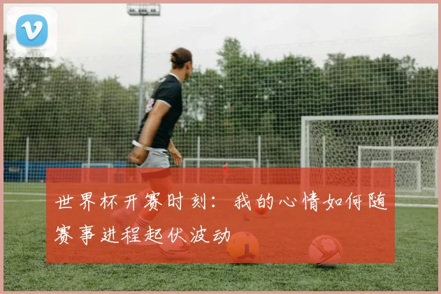 世界杯开赛时刻:我的心情如何随赛事进程起伏波动