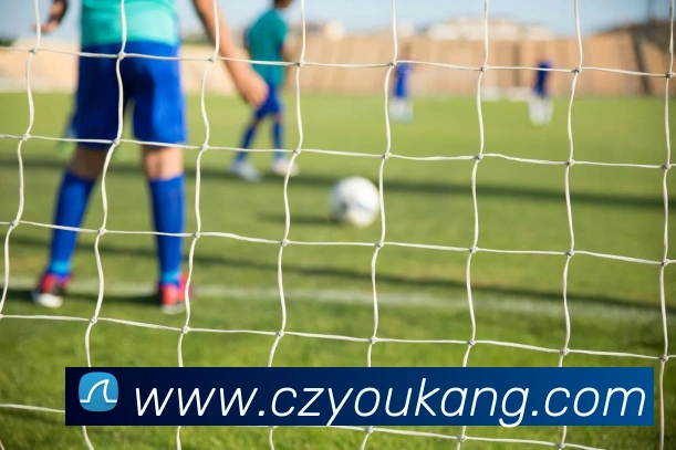 开云app在线下载入口平台生态图