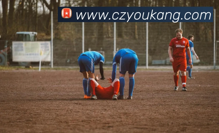 开云app在线下载入口APP 封面图